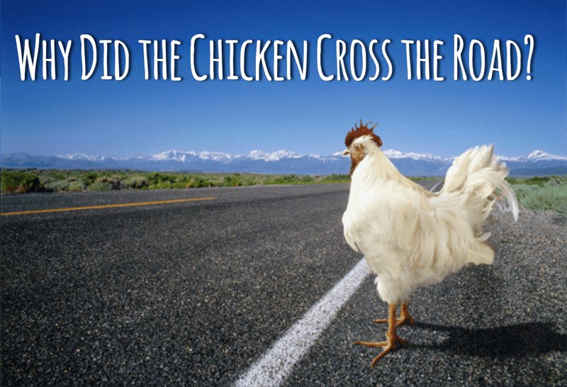 Chicken road casino, chicken road online Chicken road casino, chicken road online
