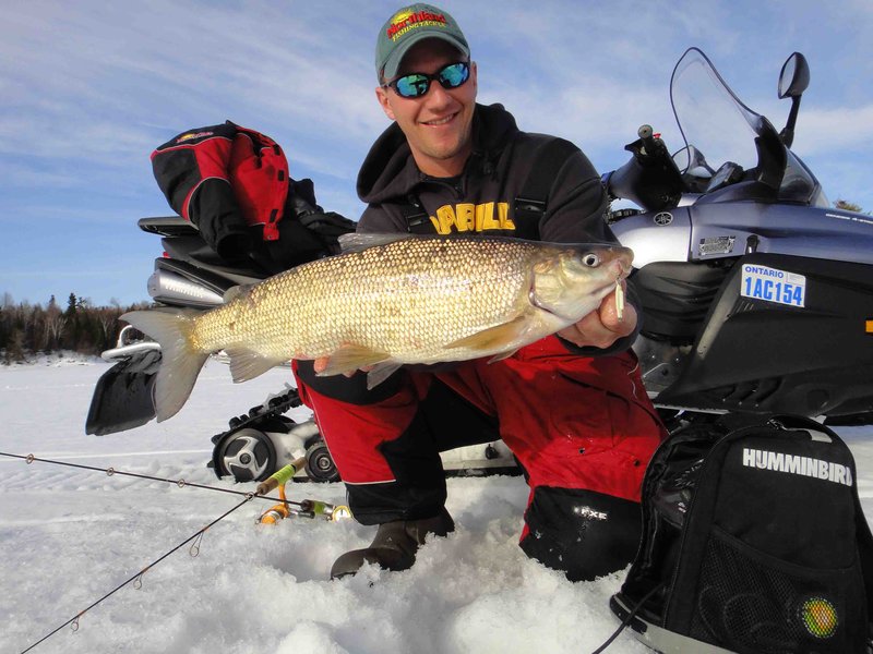 Experience the Thrill of Ice Fishing Live Casino in the UK Now