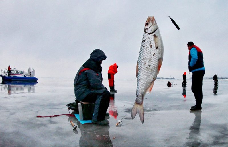 Brits Reel in Big Winnings with Live Ice Fishing Casino Games Everywhere